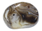 Agate Brésilienne