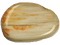 Bois fossile