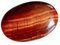 Oeil de taureau