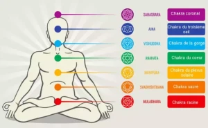 Quel est le rôle du chakra couronne chakras
